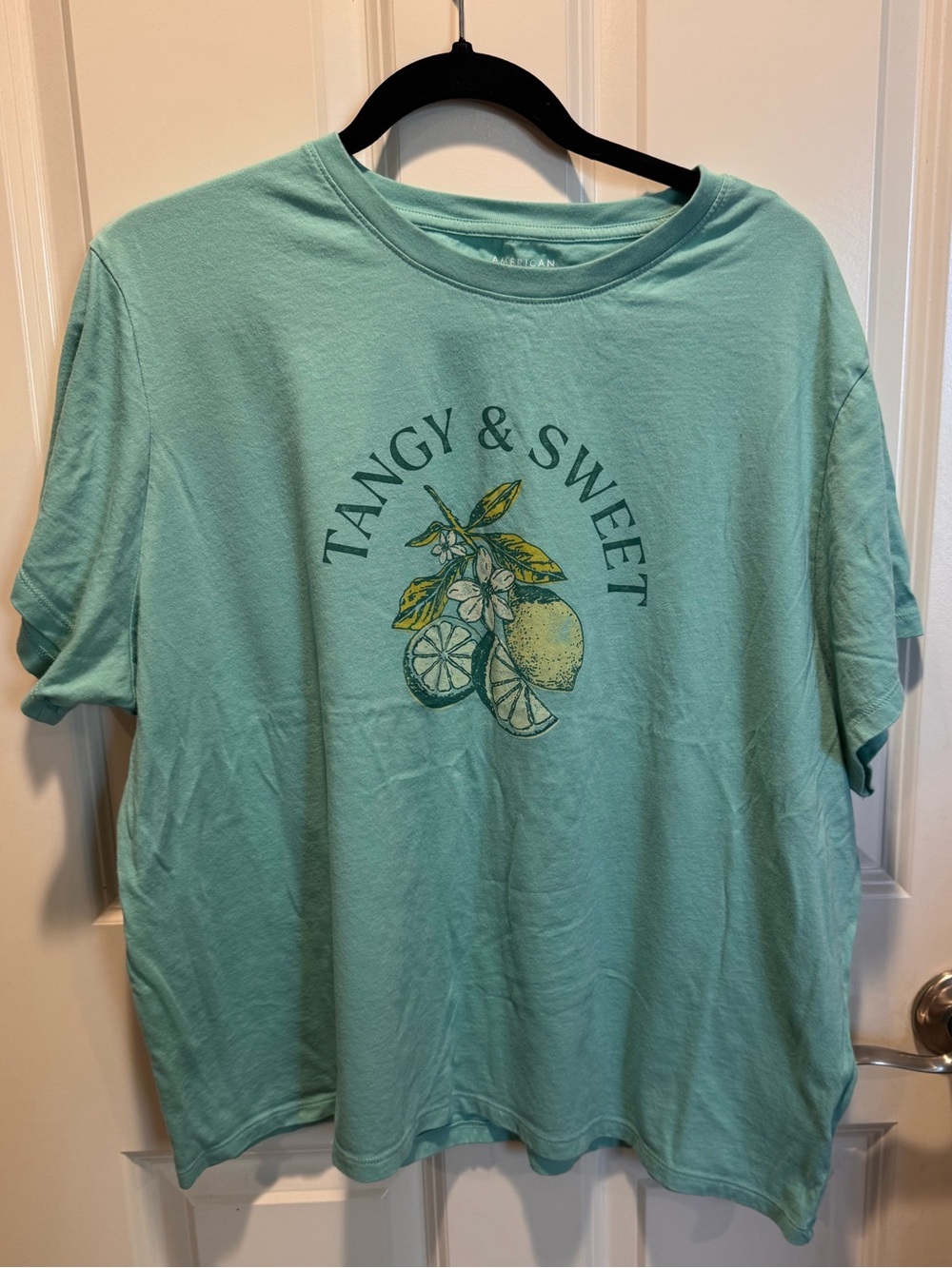 American Eagle Outfitters Mint Green Graphic 'Tangy & Sweet' Tee